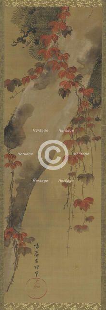 Pine tree and autumn vine, Edo period, late 18th century. Creator: Tawaraya Sori.