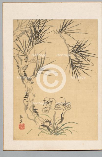 Pine Tree and Fungus, 19th century. Creator: Tsubaki Chinzan (Japanese, 1801-1854).