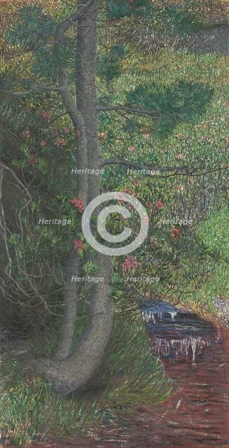 Pine Tree, c. 1897. Creator: Giovanni Segantini (Italian, 1858-1899).