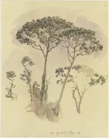 Pine trees above the Grotto of Posilipo, 1841. Creator: Johann Nepomuk Rauch