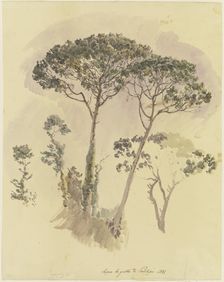 Pine trees above the Grotto of Posilipo, 1841. Creator: Johann Nepomuk Rauch