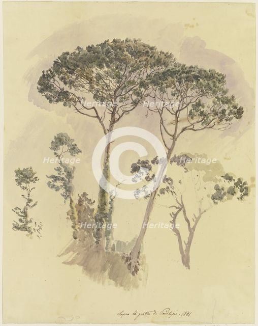 Pine trees above the Grotto of Posilipo, 1841. Creator: Johann Nepomuk Rauch.