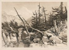 Pine Trees and Bridge, 1841. Creator: James Duffield Harding (British, 1798-1863)