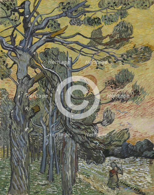 Pine trees at sunset, 1889. Creator: Gogh, Vincent, van (1853-1890).
