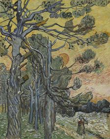 Pine trees at sunset, 1889. Creator: Gogh, Vincent, van (1853-1890)