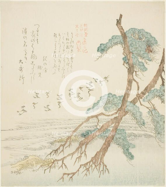 Pine Trees, from the series "Tosa Diary for the Shofudai, Hisakataya, and Bu..., early 19th century. Creator: Kubo Shunman.