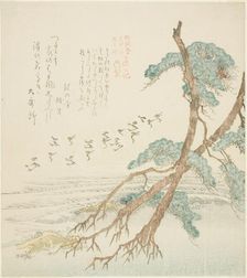 Pine Trees, from the series "Tosa Diary for the Shofudai, Hisakataya, and Bu..., early 19th century. Creator: Kubo Shunman