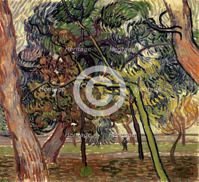 Pine trees in the garden of the asylum, 1889. Creator: Gogh, Vincent, van (1853-1890).