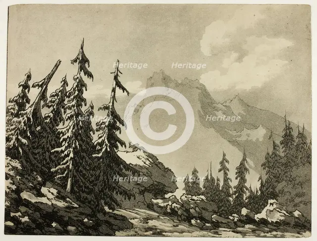 Pine Trees in the Mountains, 1789. Creator: John Robert Cozens.
