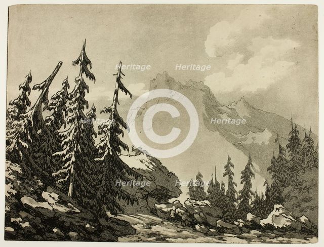 Pine Trees in the Mountains, 1789. Creator: John Robert Cozens.
