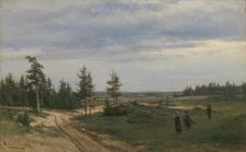 Pine trees in Uusimaa, 1869. Creator: Berndt Lindholm