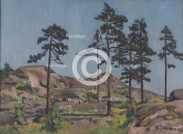 Pine trees on rocky ground, 1942. Creator: Ilmari Ikonen.