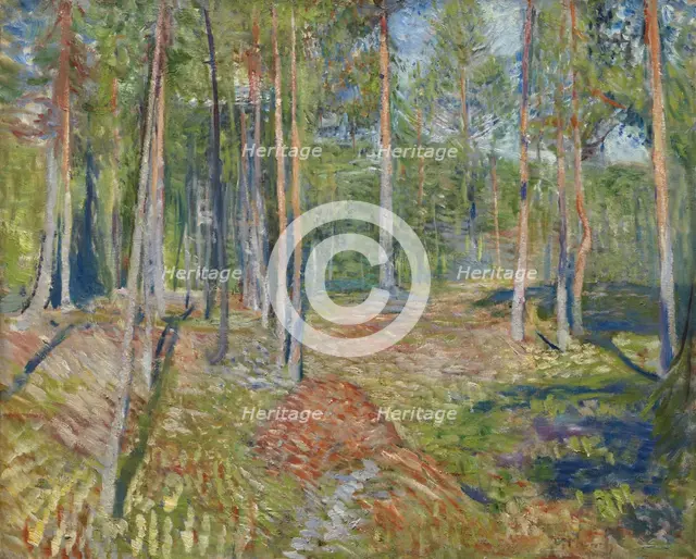 Pine Forest, 1891-1892. Artist: Munch, Edvard (1863-1944)