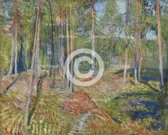 Pine Forest, 1891-1892. Artist: Munch, Edvard (1863-1944)
