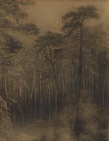 Pine forest, 1892-1893. Creator: Ludovit Cordak