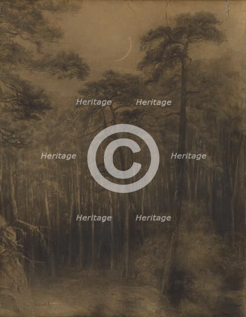 Pine forest, 1892-1893. Creator: Ludovit Cordak.