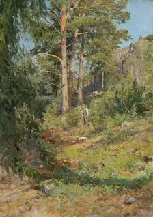 Pine Forest Skutudden, 1887. Creator: Carl Ludwig Trägardh