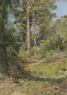 Pine Forest Skutudden, 1887. Creator: Carl Ludwig Trägardh