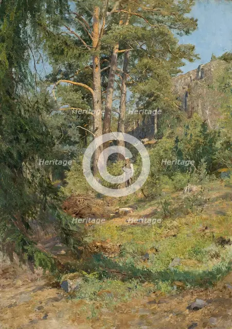 Pine Forest Skutudden, 1887. Creator: Carl Ludwig Trägardh.