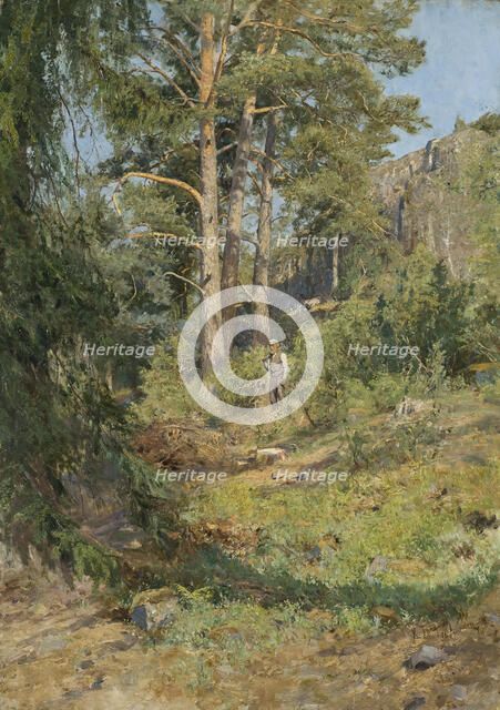 Pine Forest Skutudden, 1887. Creator: Carl Ludwig Trägardh.