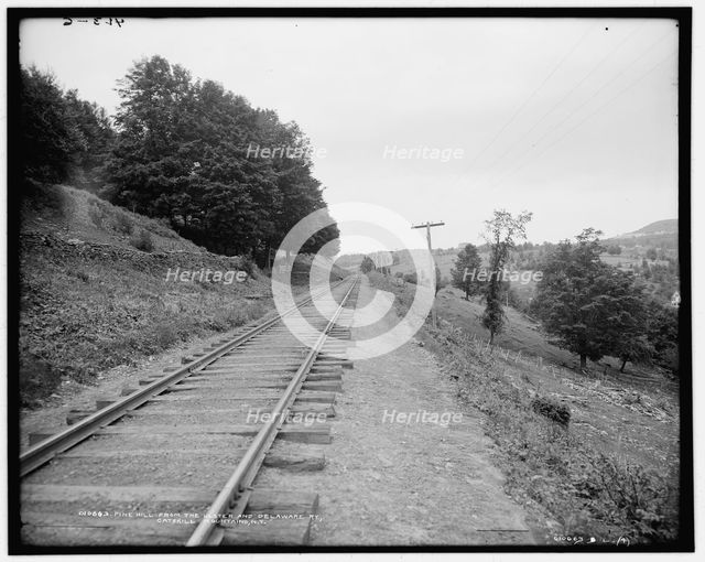 Pine Hill from the Ulster and Delaware Ry., Catskill Mountains, N.Y., between 1901 and 1906. Creator: Unknown.