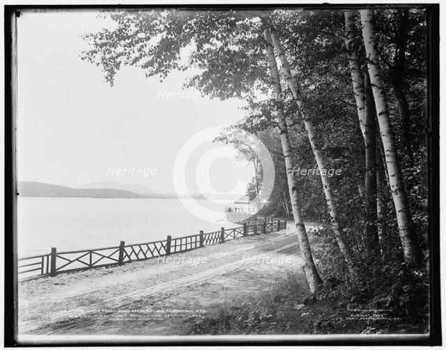 Pine Hurst Road, Lower Saranac Lake, Adirondack Mts., c1902. Creator: William H. Jackson.