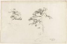 Pine, Lake George, 1871. Creator: David Johnson (American, 1827-1908)