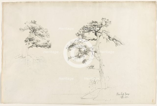 Pine, Lake George, 1871. Creator: David Johnson (American, 1827-1908).