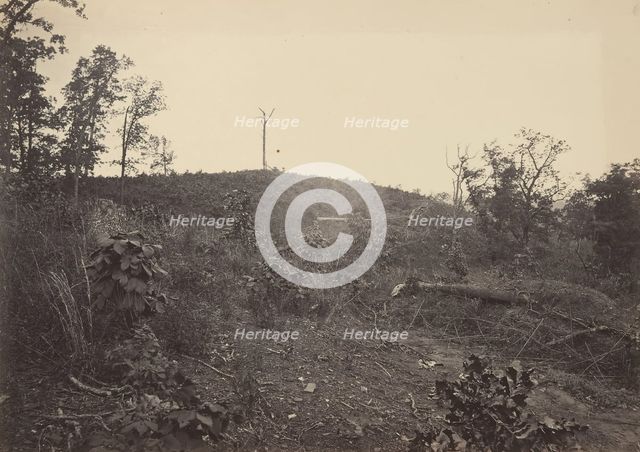 Pine Mountain, 1860s. Creator: George N. Barnard.