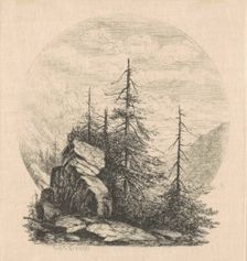 Pines, 1870s-1880s. Creator: Carl C. Brenner