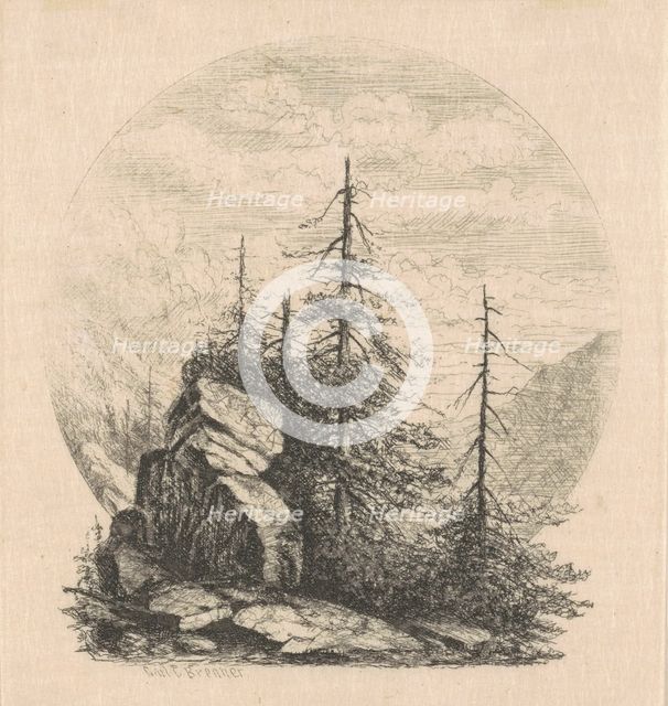 Pines, 1870s-1880s. Creator: Carl C. Brenner.