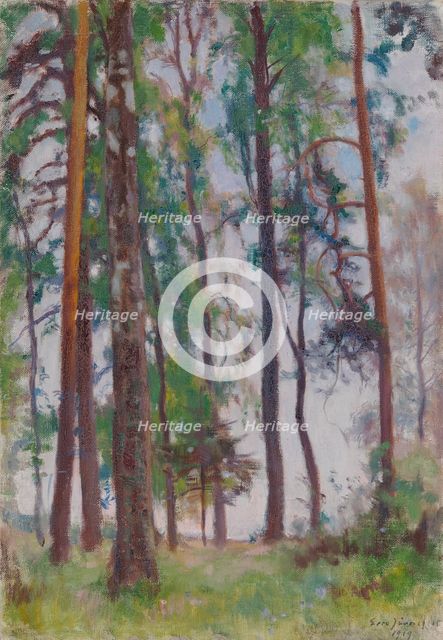 Pines, 1919. Creator: Eero Jarnefelt.