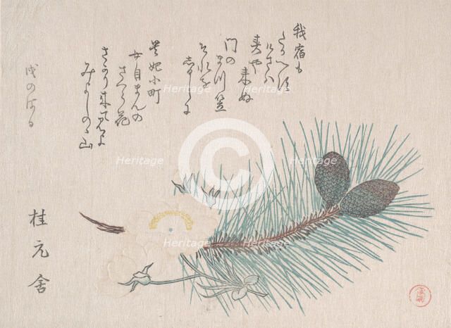 Pines and Cherry Blossoms, probably 1814. Creator: Kubo Shunman.