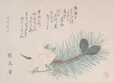 Pines and Cherry Blossoms, probably 1814. Creator: Kubo Shunman