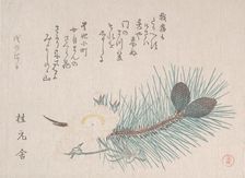 Pines and Cherry Blossoms, probably 1814. Creator: Kubo Shunman