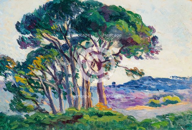 Pines at Canebiers, 1903. Creator: Luce, Maximilien (1858-1941).
