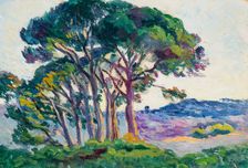 Pines at Canebiers, 1903. Creator: Luce, Maximilien (1858-1941)