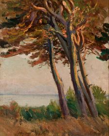 Pines at Polaga, 1908. Creator: Leon Wyczolkowski