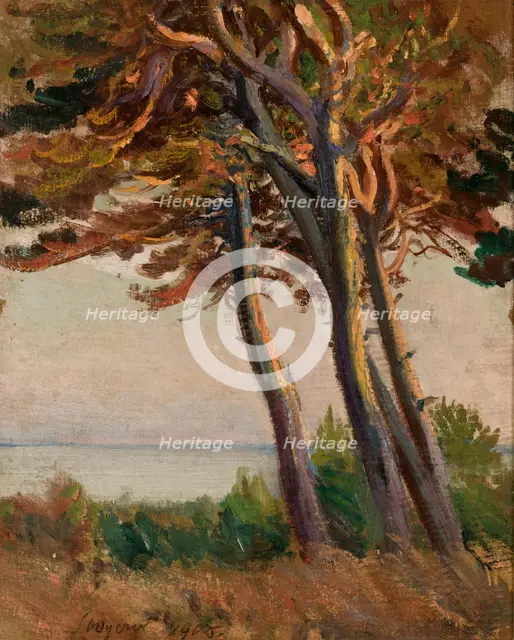 Pines at Polaga, 1908. Creator: Leon Wyczolkowski.