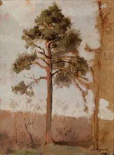 Pines at Polaga, between 1906-1910. Creator: Leon Wyczolkowski