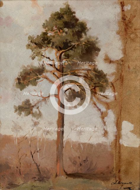 Pines at Polaga, between 1906-1910. Creator: Leon Wyczolkowski.