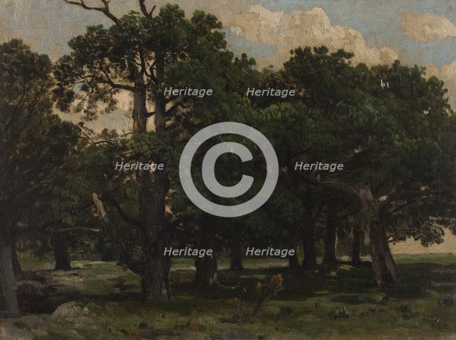 Pines, c1870. Creator: Jozef Szermentowski.