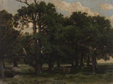 Pines, c1870. Creator: Jozef Szermentowski