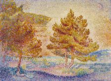 Pines, c1898. Creator: Cross, Henri Edmond (1856-1910)