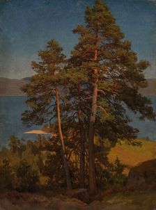 Pinetrees, probably 1850. Creator: Herman August Cappelen