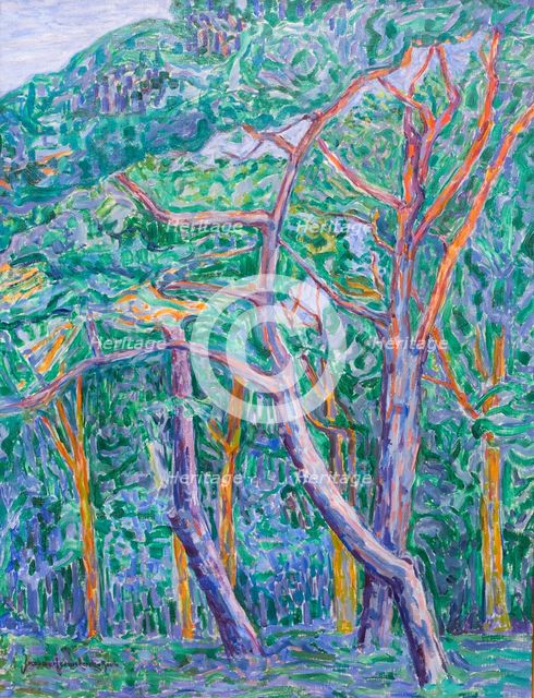 Pinewood, 1908. Creator: Heemskerck, Jacoba van (1876-1923).