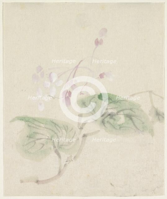 Pink wisteria, 1808-1861. Creator: Utagawa Kuniyoshi.