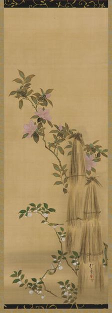Pink and white flowers and straw coverings, Edo period, 1761-1828. Creator: Sakai Hoitsu