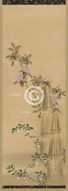 Pink and white flowers and straw coverings, Edo period, 1761-1828. Creator: Sakai Hoitsu.
