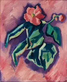 Pink Begonias, 1928-1929. Creator: Marsden Hartley